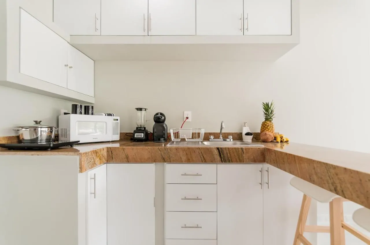 شقة بلايا ديل كارمن Level Luxury Condos